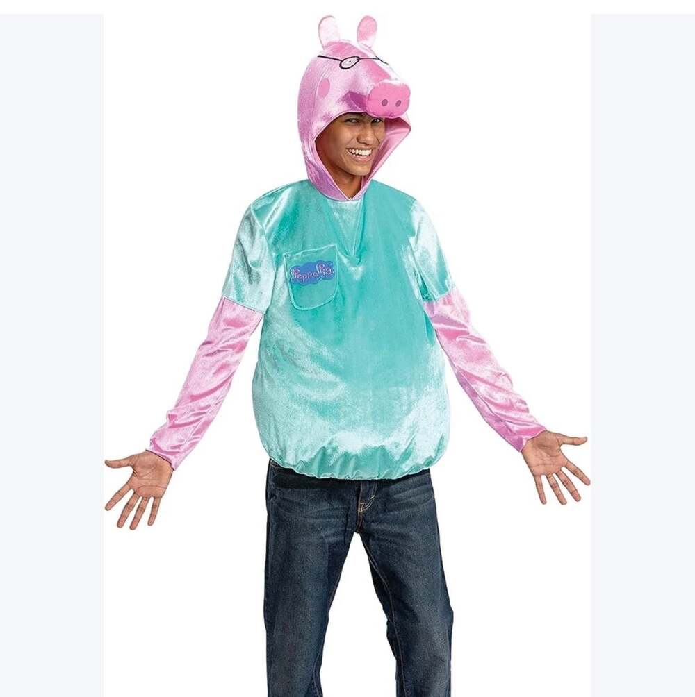 Adult Daddy Pig Peppa Pig Costume Pink Teal Character Halloween Outfit